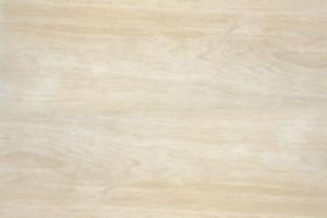 Halcon Forest Gris 40.5x60.8 cm