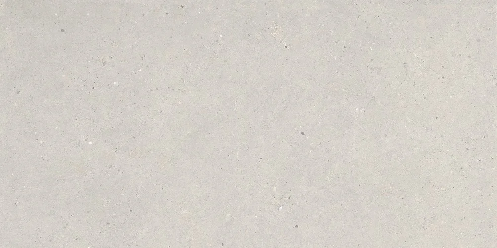 Impronta Silver Grain Grey Ant. Sq. Si03ba2 120x60x2