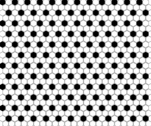 Dunin Mini Hexagon B&W Mix 26x30 cm